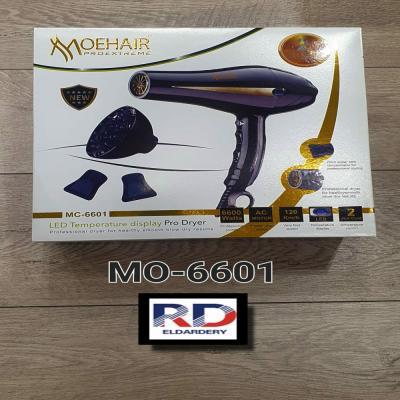 R7-38 MO-6601 Mohair Hair Dryer