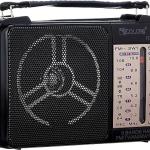 Golon RX-607AC Classic Radio