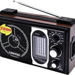 Leotec 2008 Radio